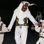 fasnet