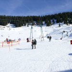 jeunes grasgehren