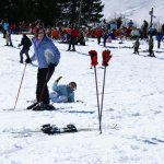 jeunes grasgehren