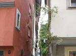 DSC09833.JPG