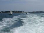DSC02983_1.JPG