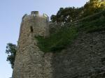 DSC02654_1.JPG