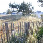 Carnac diverses